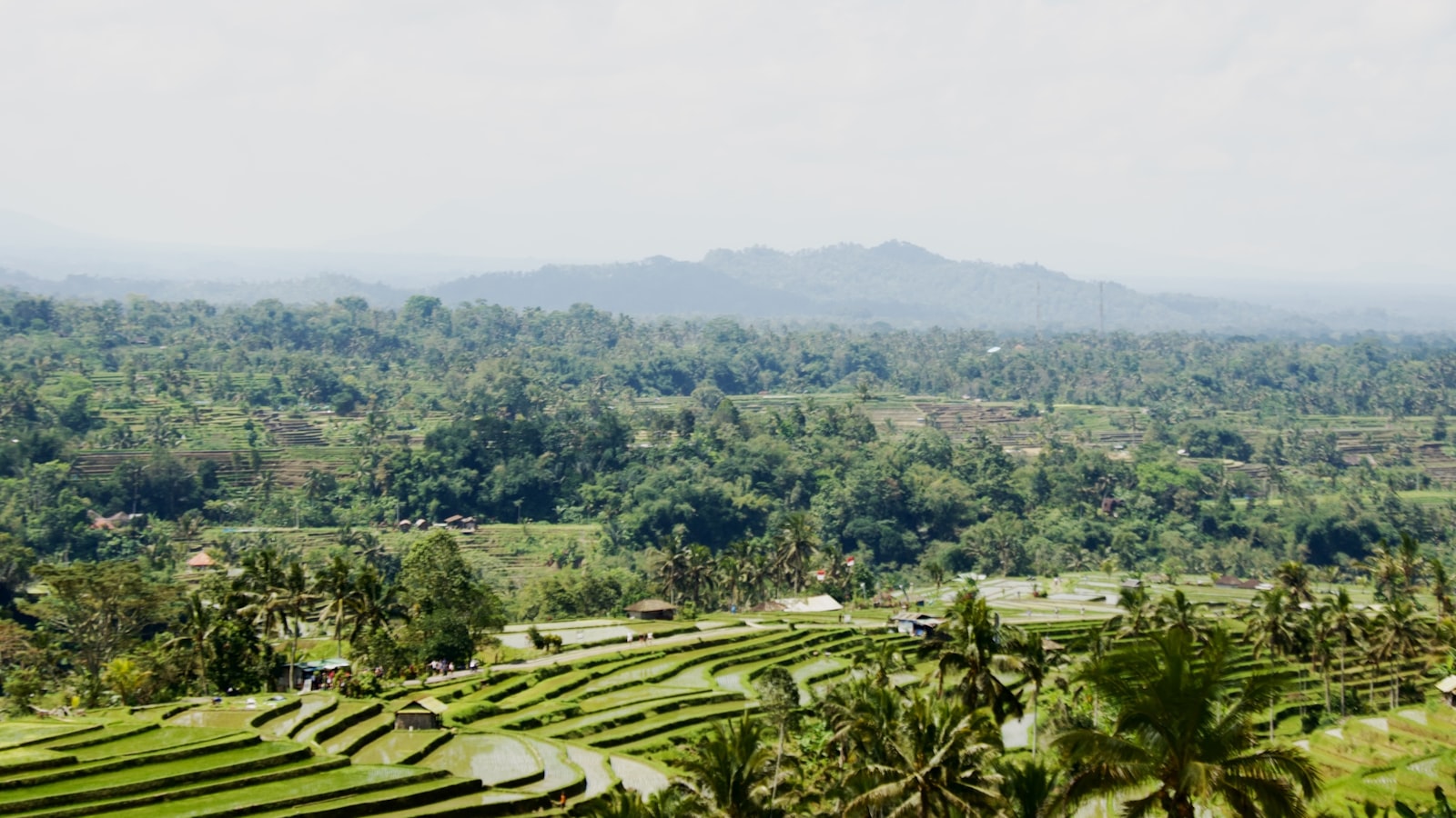 Bali