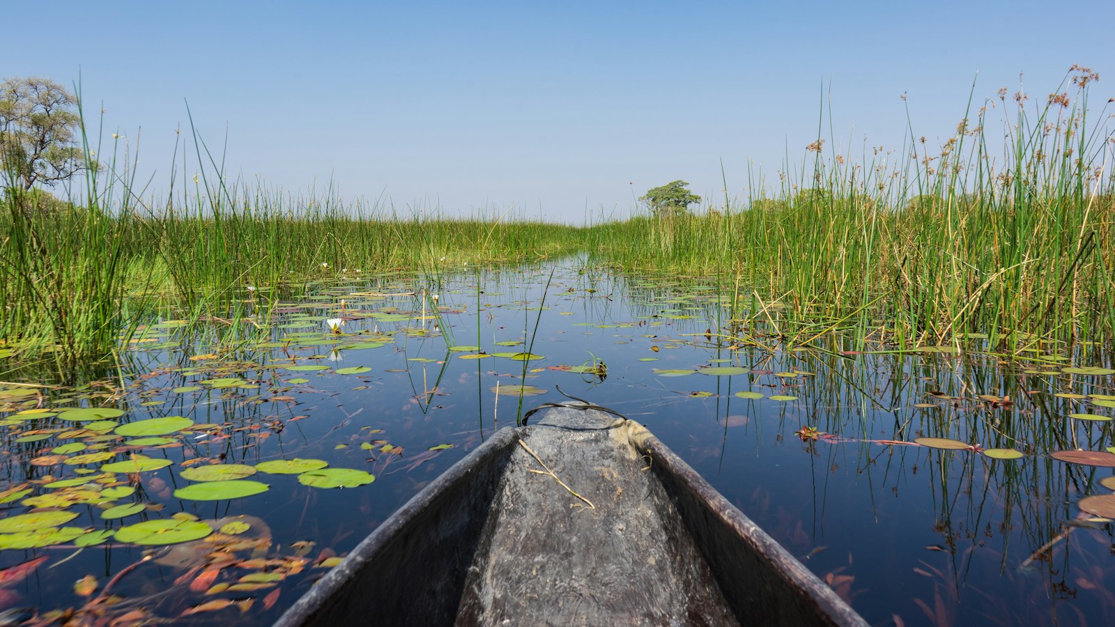 Okavango Delta